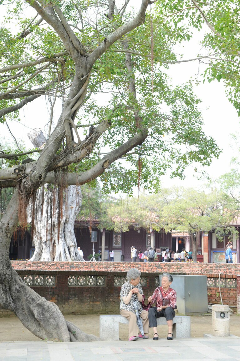 台湾南西部に位置する台南。「台湾」という地名はもともと台南を指した。多くの旧跡が残る街並みには南国らしい雰囲気が。