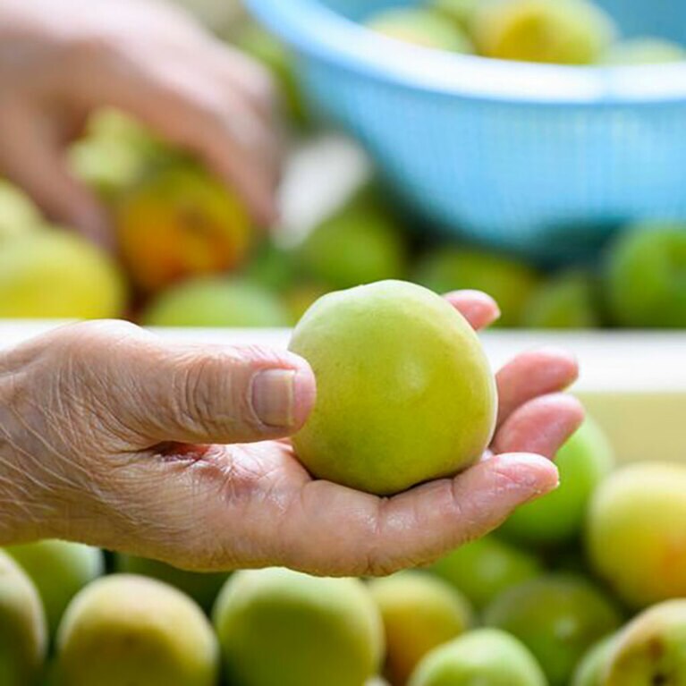 桃のような形が特徴。