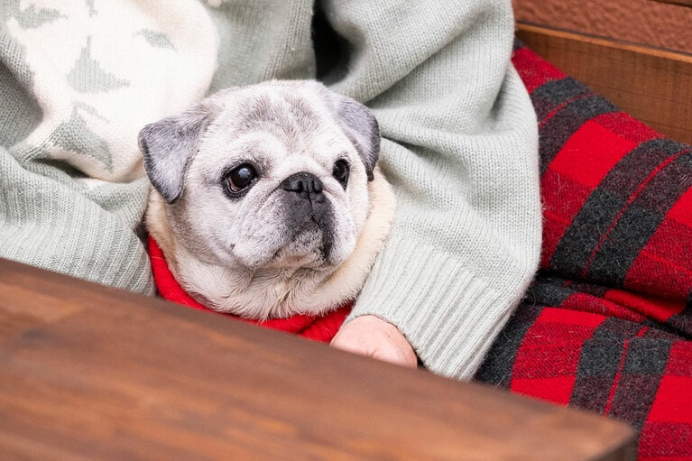 アザーカット。