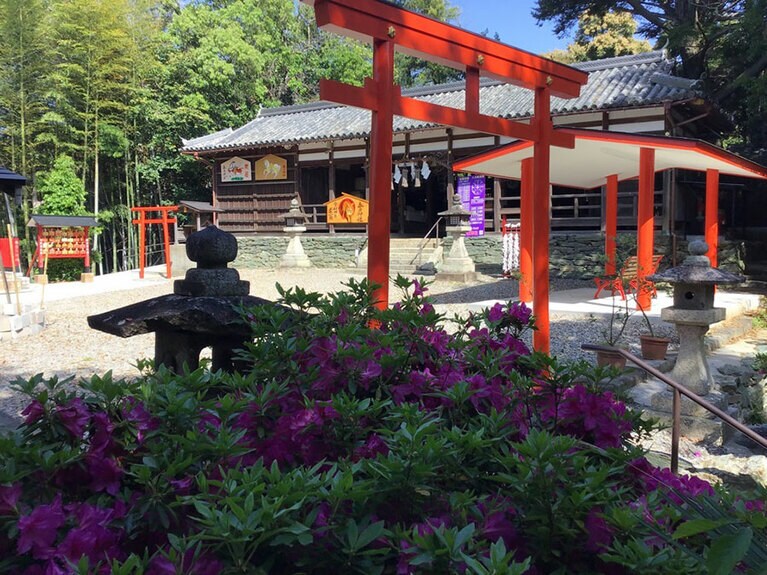 春日神社 風鈴まつり。