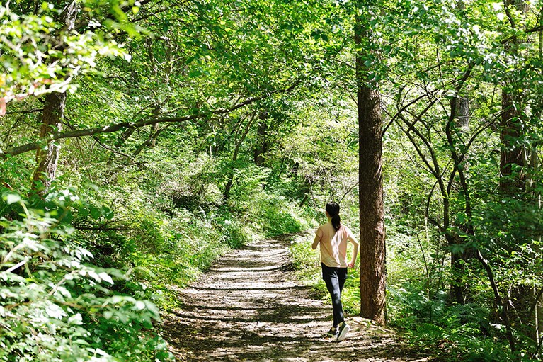 星のや軽井沢［長野／星野温泉］森林パワーウォーク。