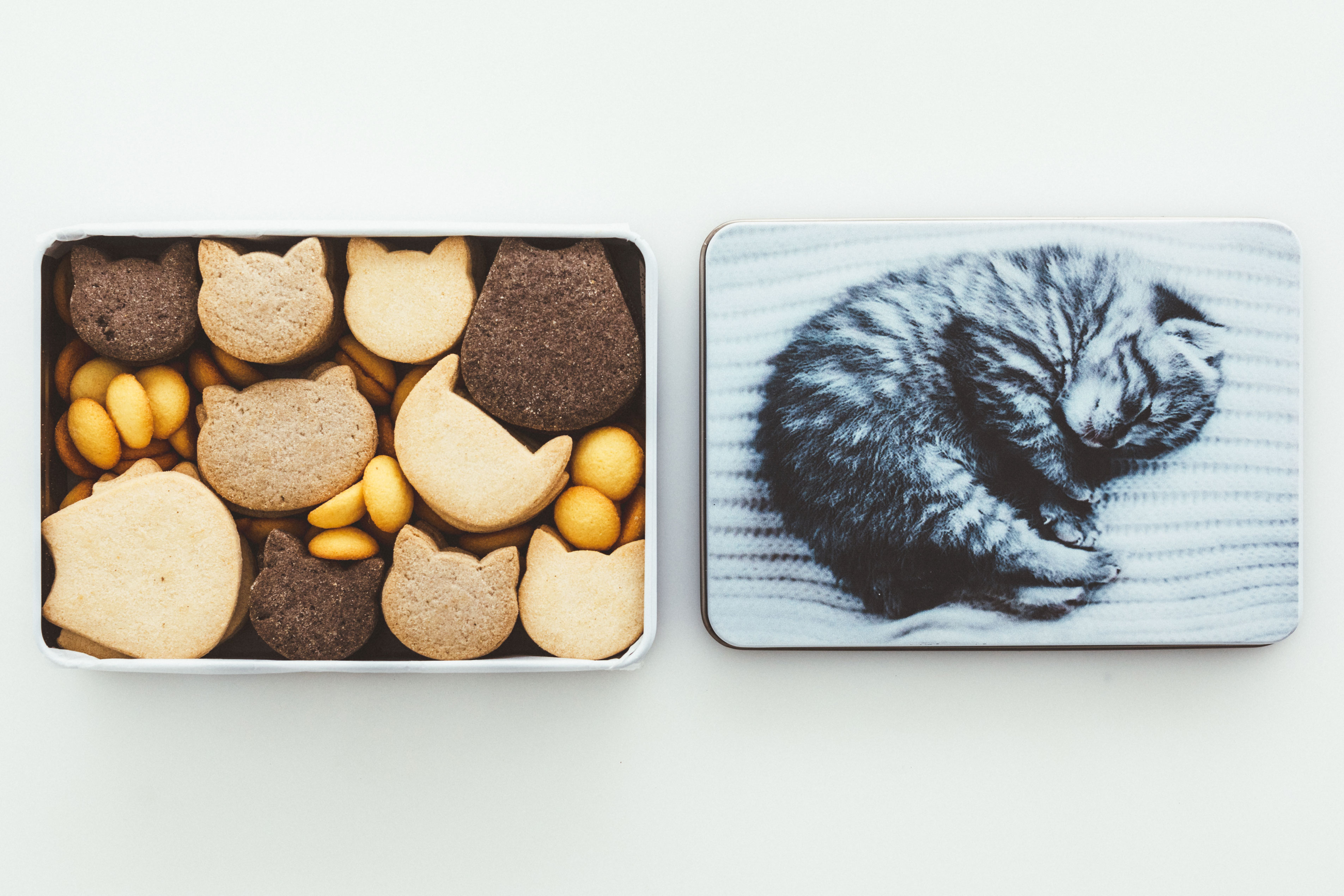 猫ネコクッキー缶 4,320円。お菓子のかわいらしさに定評がある洋菓子店の人気アイテム。ギフト通販のムードマーク限定商品で、眠る仔猫の愛らしい姿や素朴で優しい味わいの猫形クッキーは愛猫家への贈りものにもぴったり。／アンファン（088-884-1170／moodmark.mistore.jp）