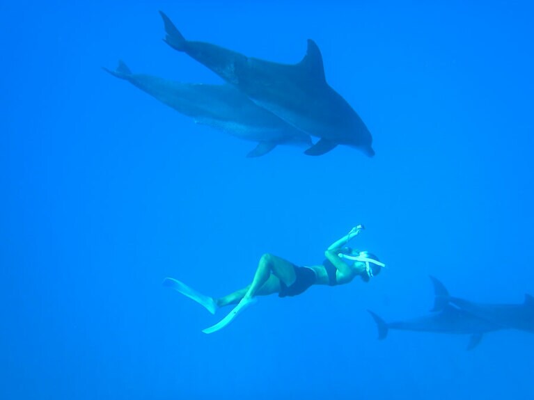 竹ネイチャーアカデミーの南島ツアーの途中、イルカと遭遇。一緒に泳いでいるのはガイドの朱里さん。