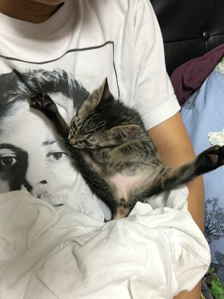 【ミキ・亜生さん】うちの子ベストショット①「小さい頃の藤はセクシーガールでした。女の子やのにこんな開脚して、、、 ドキドキするでぇ。」