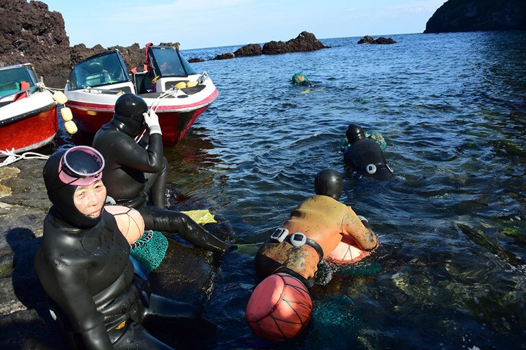 漁の前に行う伝統的な歌を披露した後、海女さんは次々と海へ。