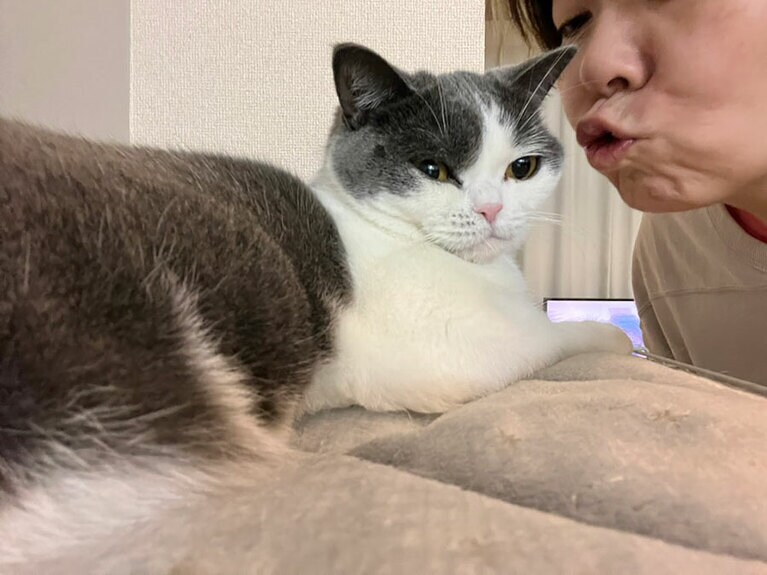 うなぎ ♀ 2歳。基本、塩対応です（たこ焼きさん）