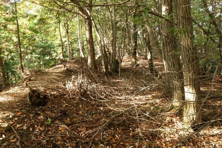 縦に長い曲輪の片側に質実剛健な土塁