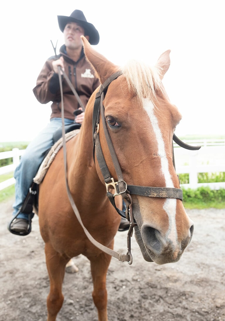 乗馬は約1時間。賢くて、人懐っこい馬との触れ合いも楽しい。