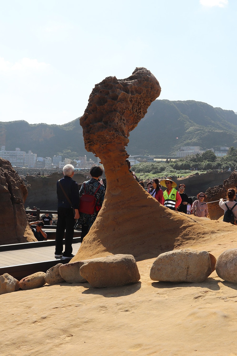 「女王頭」。ただならぬ貫禄を感じる。