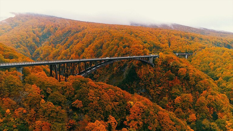 城ヶ倉大橋の紅葉。