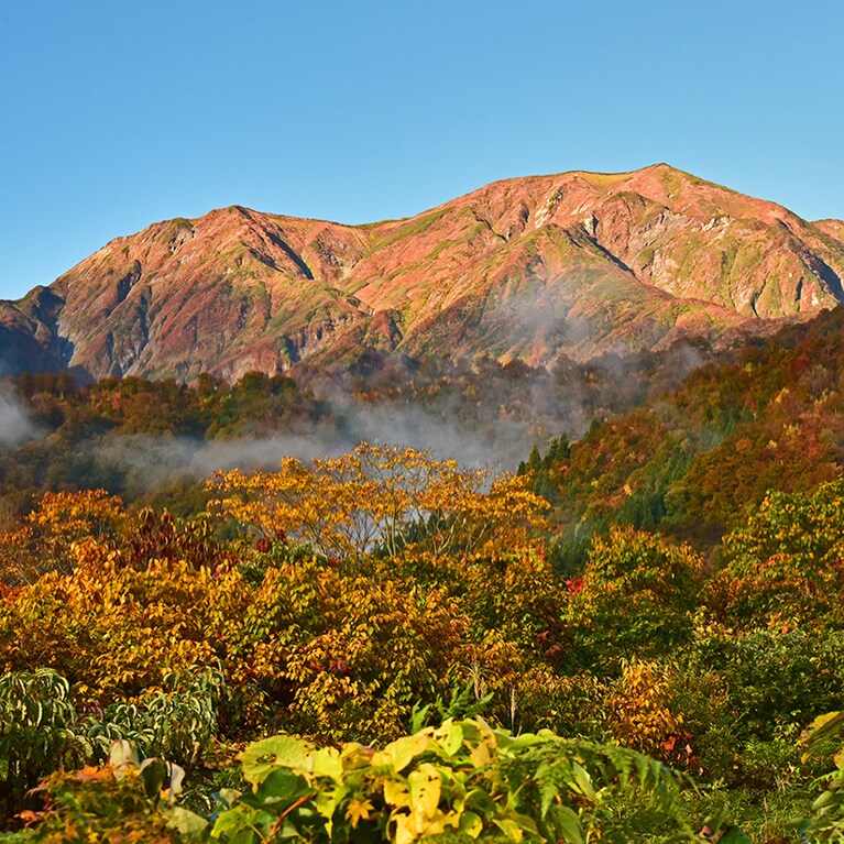 宿泊者限定の特別ツアーは年に数回開催されていてWEB＆SNSで募集予定とのこと。こまめにチェックを。