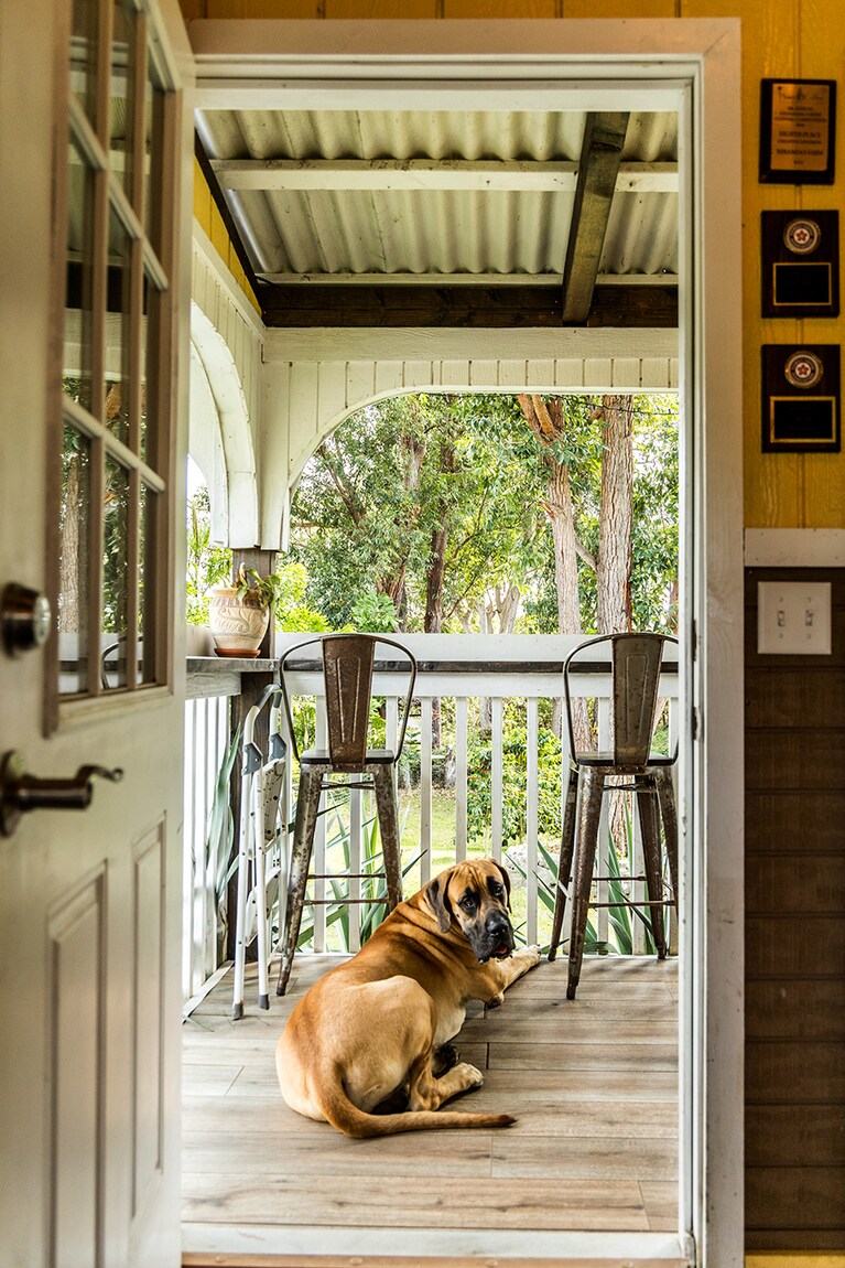 【ミランダズ・ファーム】気軽に立ち寄れるコーヒーショップ。
