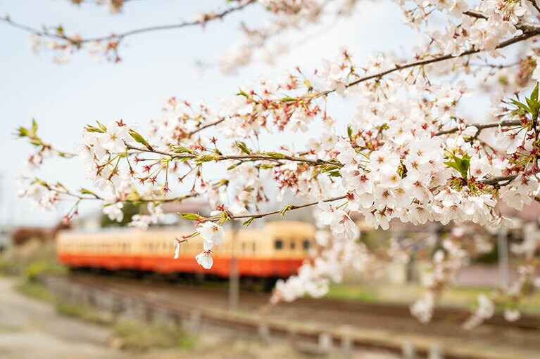 【小湊鐵道】小湊鐵道のある景色。