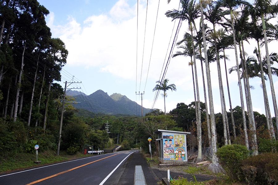 緑の高峰とヤシの木がハワイやタヒチのイメージと重なります。