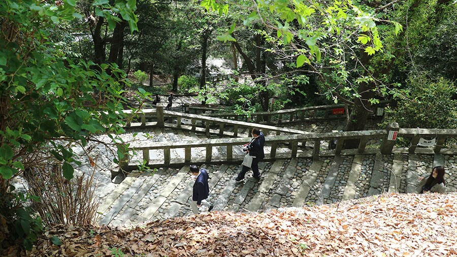 表参道は17曲がりある石段の道。日本平ロープウェイができるまではここが唯一の参拝路だった。