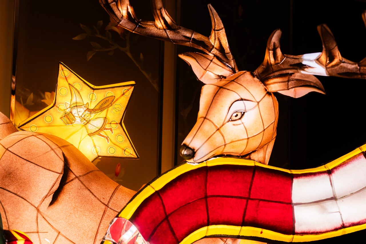 走り出しそうな美しいトナカイ。