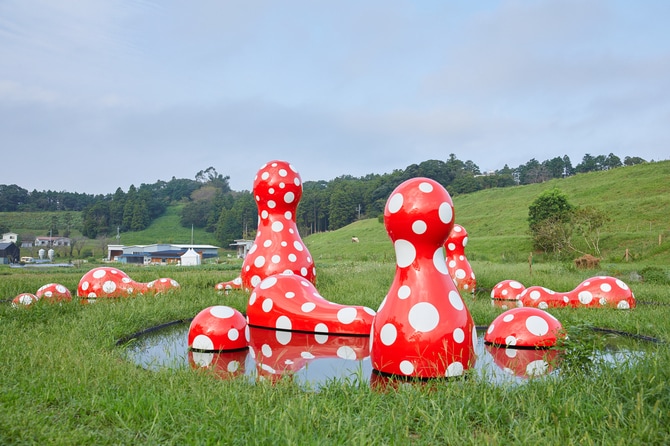 世界的アート×究極の里山グルメ。木更津『クルックフィールズ』で