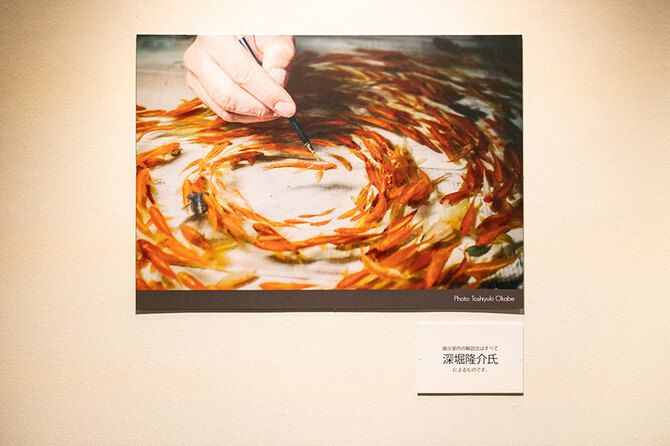 2ページ目)まるで生きているかのよう 金魚絵師・深堀隆介が描く 幻想的