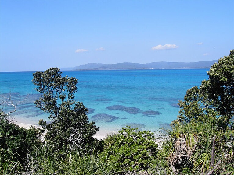 陸からもサンゴの位置がわかるくらい高い透明度。