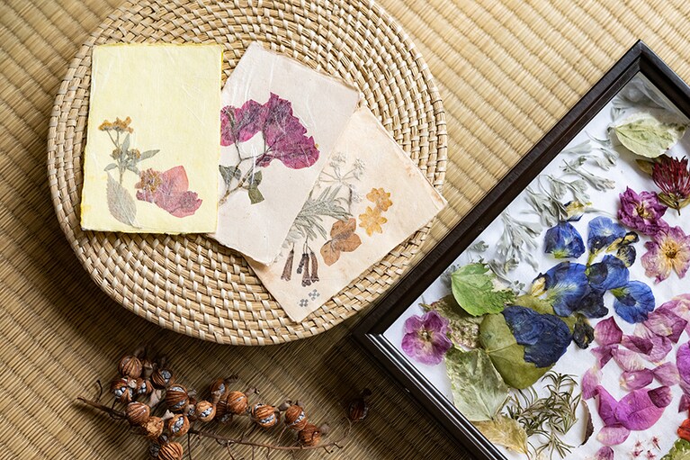 草木染めハガキづくりは、「ゆんたくラウンジ」にて水・木・日曜に開催（無料、要予約）。