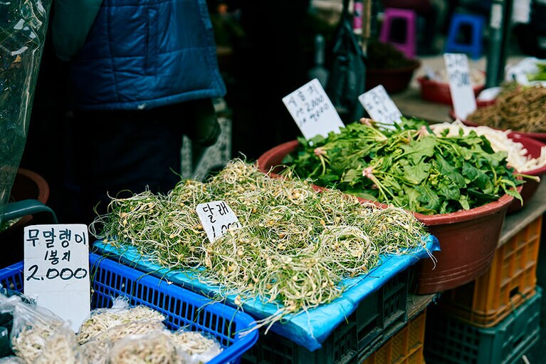 春を告げるタルレ（ヒメニラ）は和え物にして食べる。