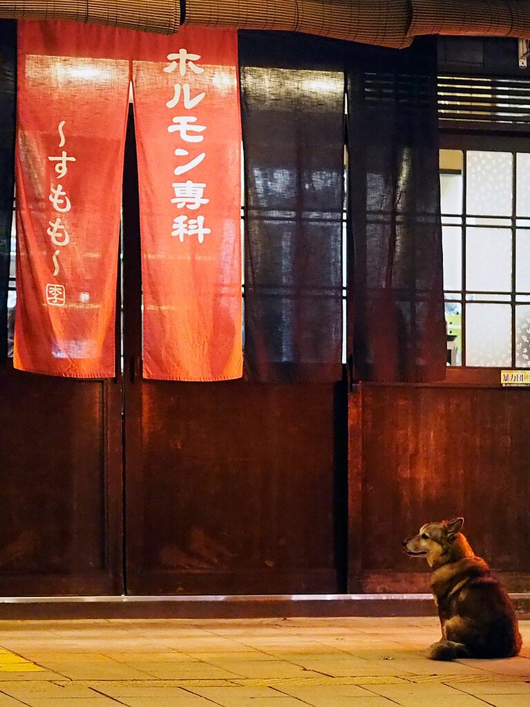 vol.017「僕もホルモン……食べたいワン……」