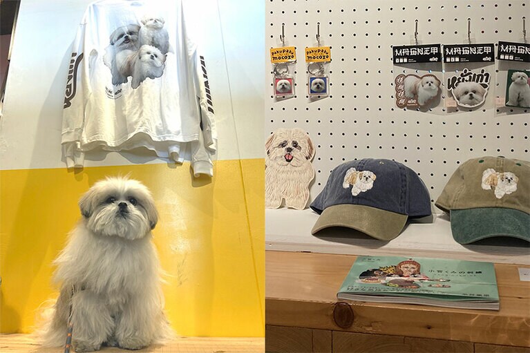 ロンTはホワイト、アシッドブルー、サンドベージュの3色、キャップはネイビーとグリーンの2色。