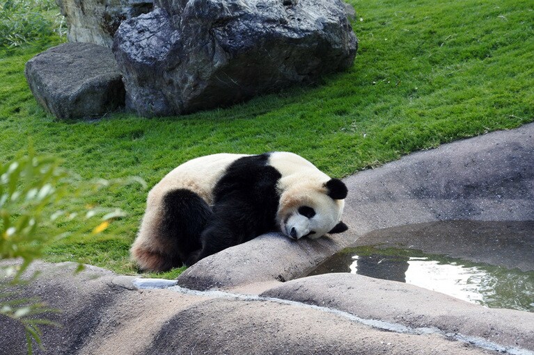 南紀白浜(和歌山県)