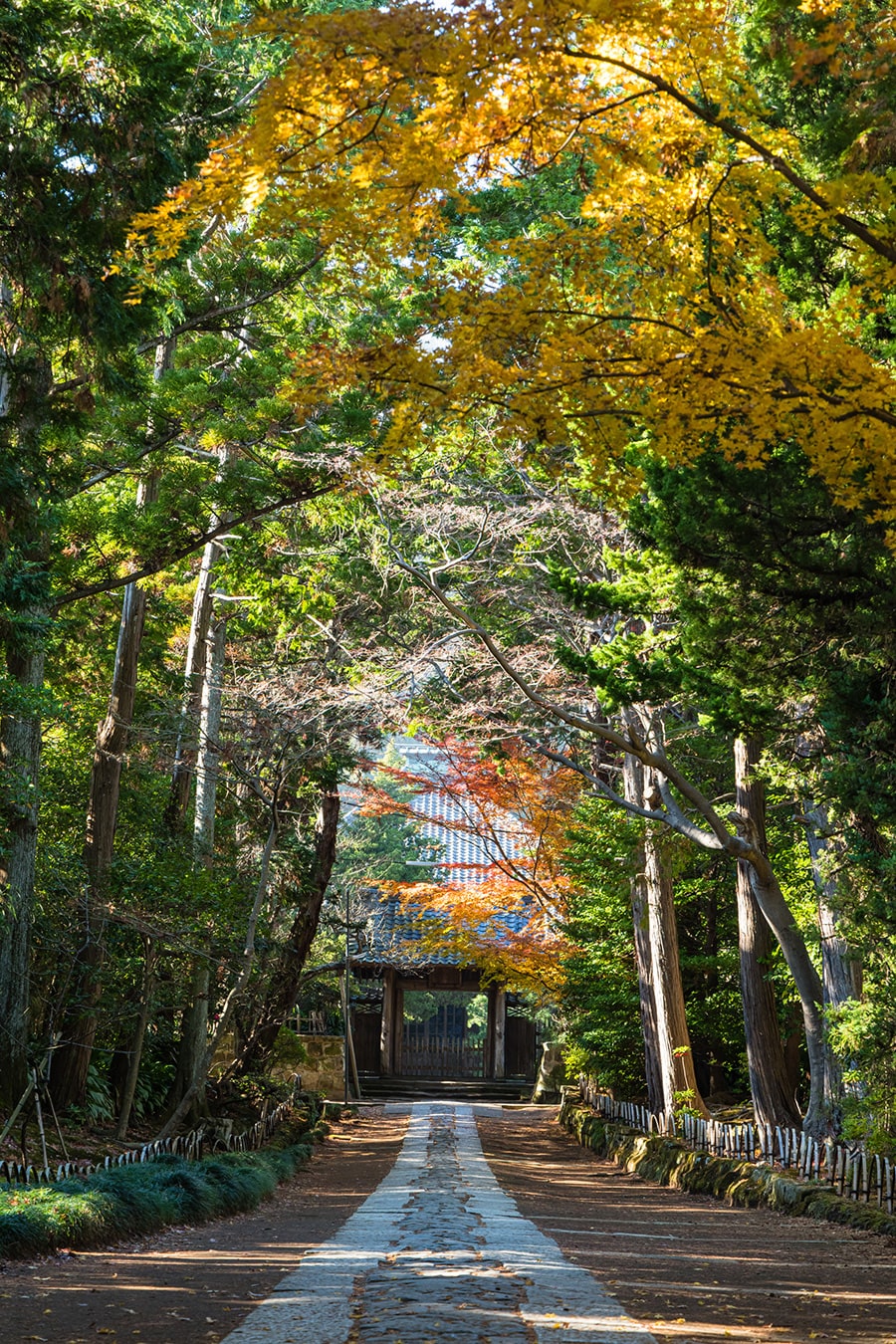 寿福寺。