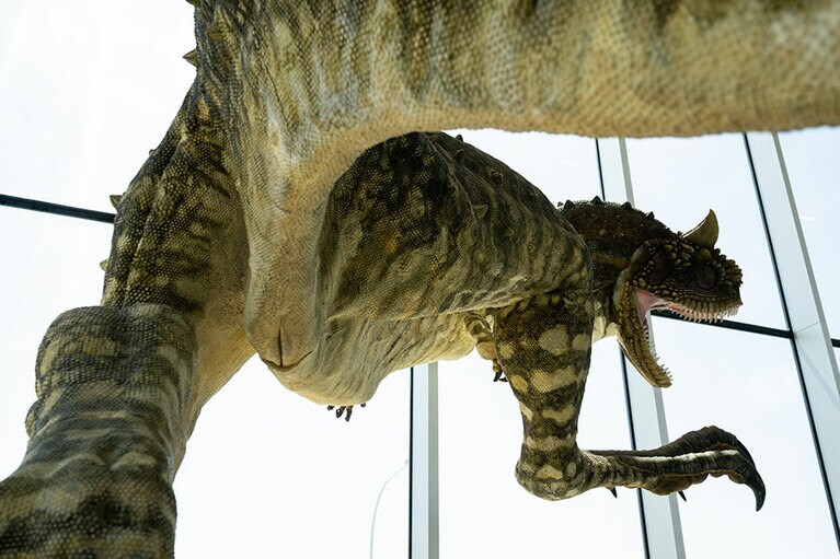 躍動感あふれる恐竜の“ベティ”。
