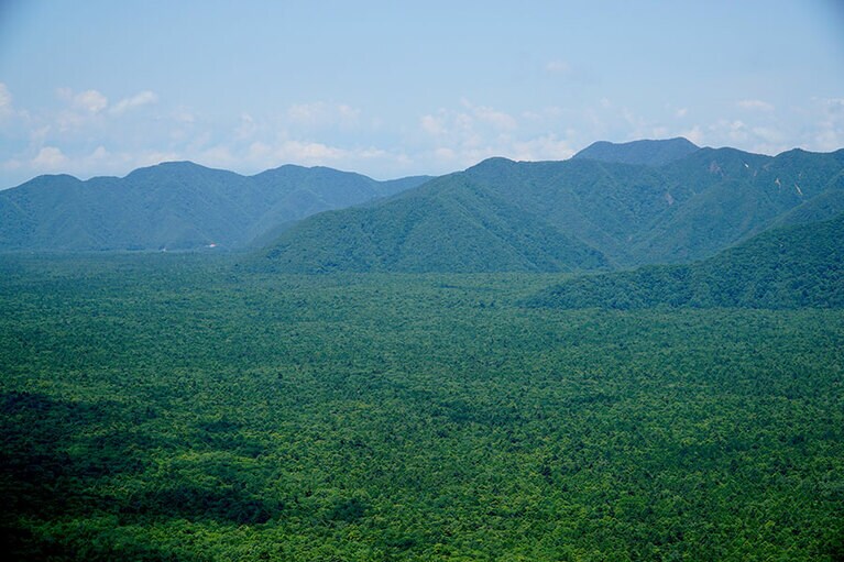約1200年前の噴火による溶岩の上にできた青木ヶ原樹海。