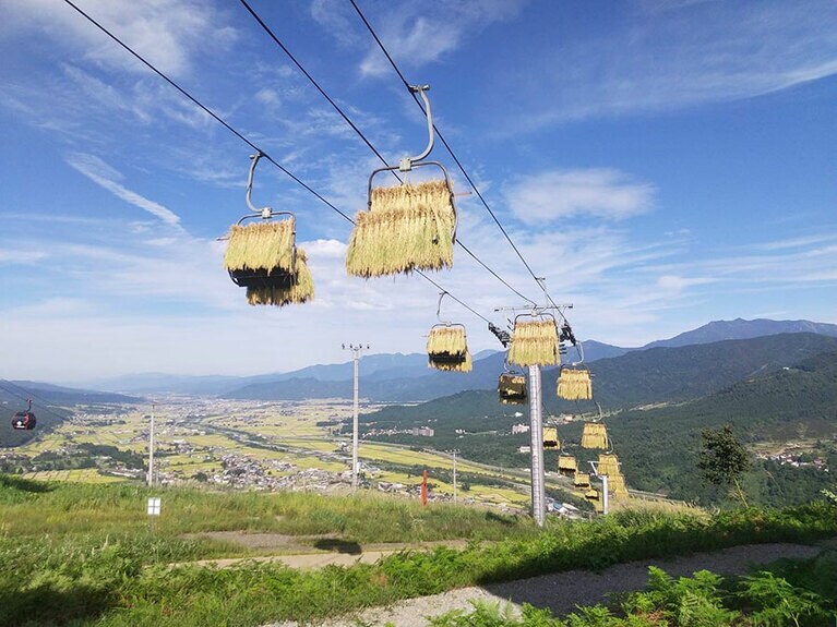 【新潟県】天空米。