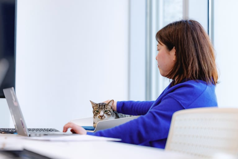 ドロンパくん、会議に参加中。