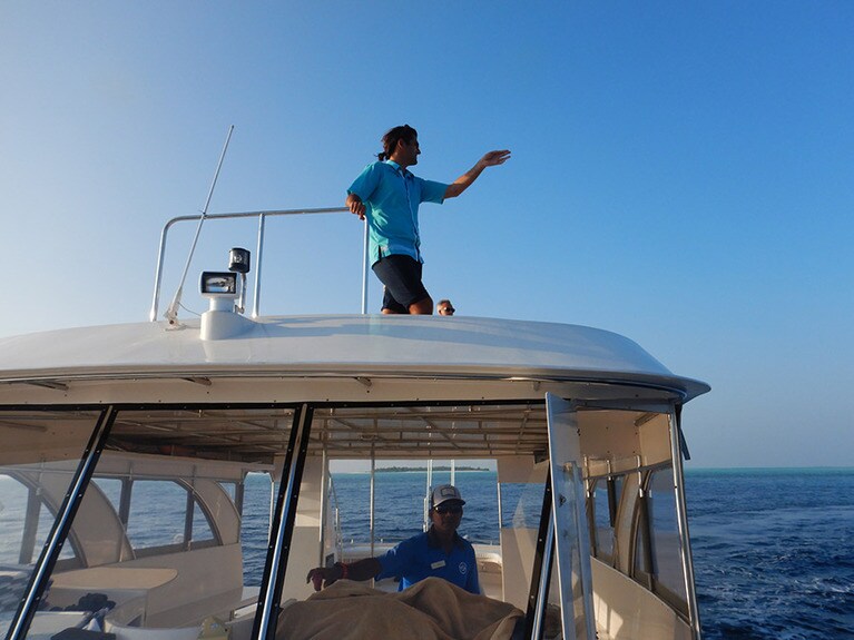 海洋生物学者のサミュエルさんも同乗する「サンセット・ドルフィンツアー」。