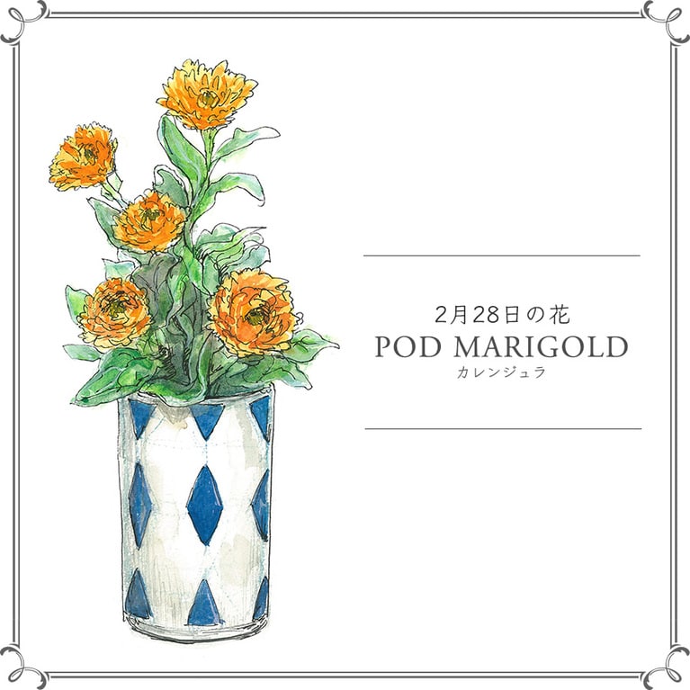 2月28日の花「カレンジュラ」