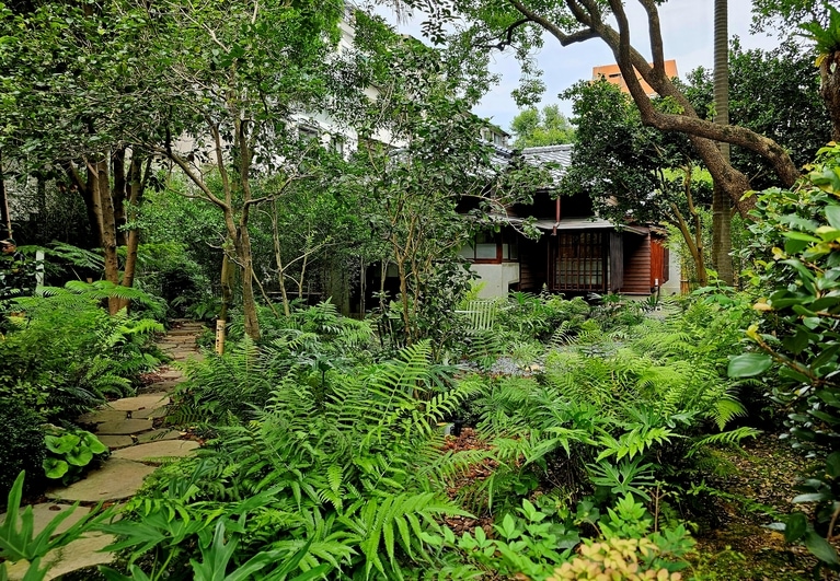 頭上には高くそびえる樹々が、足元には苔やシダ植物が目に入り、都会にいることを忘れてしまいそうな雰囲気です。