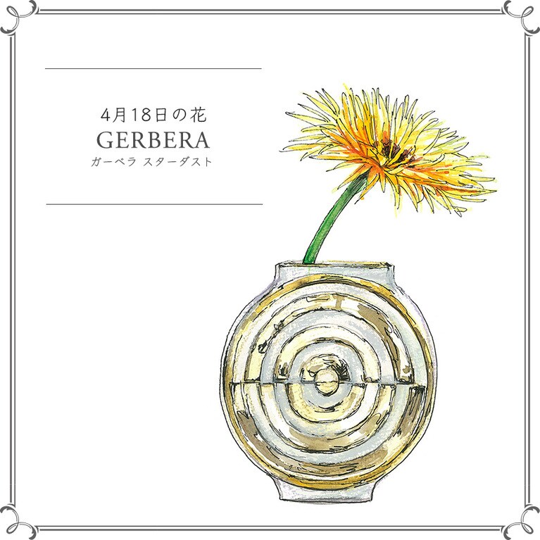 4月18日の花「ガーベラ スターダスト」
