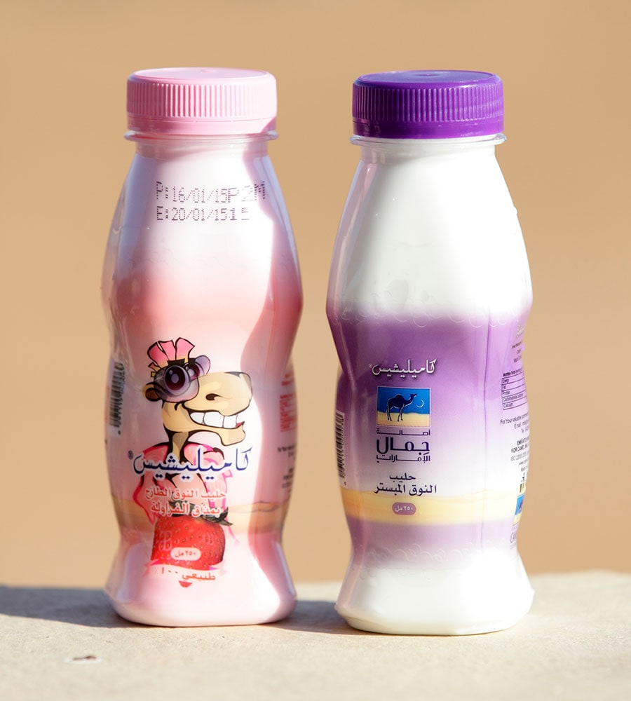ドバイ名物のラクダミルク。牛乳よりもヘルシーで、健康的な飲み物として人気。ぜひお試しを！