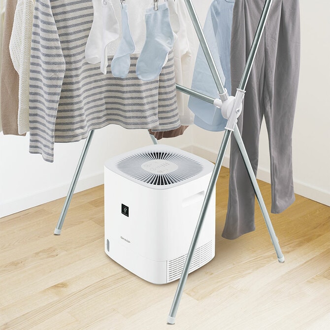 2ページ目)一人暮らしでも使いやすい除湿機5選 コンパクト＆インテリア
