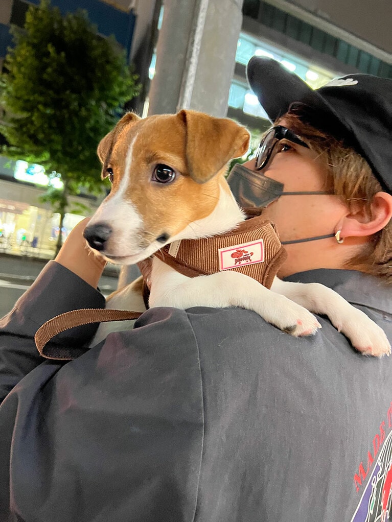 「パパの肩からイケメンを探す」