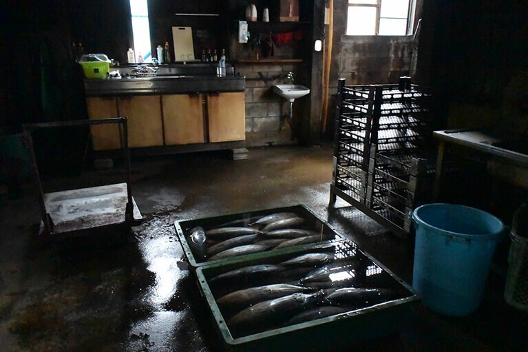 友利かつお加工場では見学もOK(要予約)。製造過程の説明もしてもらえます。