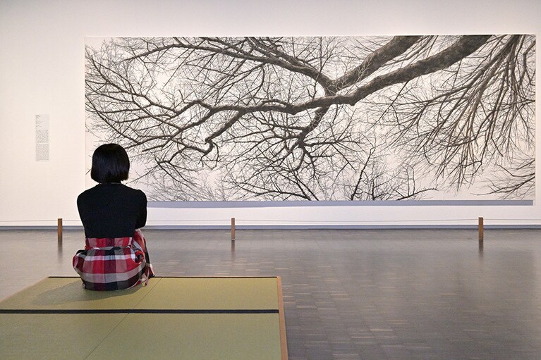 圧倒的な筆致に引き込まれるような迫力を感じる《樹を見上げてⅦ》。