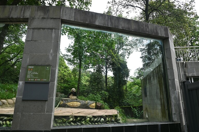 右端のシートがなくなり、香香が右の灰色の建物と外を行き来する様子が見えるようになった。建物の中は非公開。（2026年4月29日、筆者撮影）