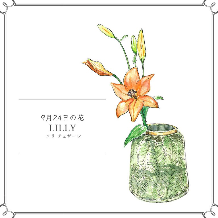 9月24日の花「ユリ チェザーレ」