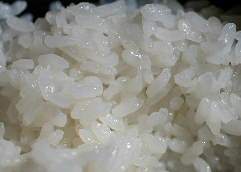 新潟県・里山十帖の秋