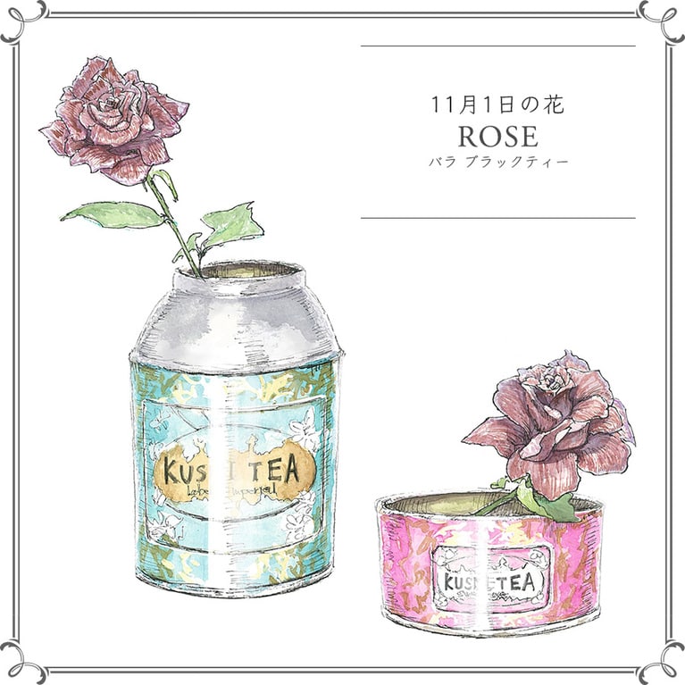 11月1日の花「バラ ブラックティー」