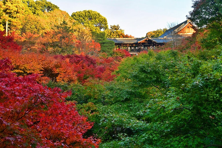 臥雲橋から見た通天橋。