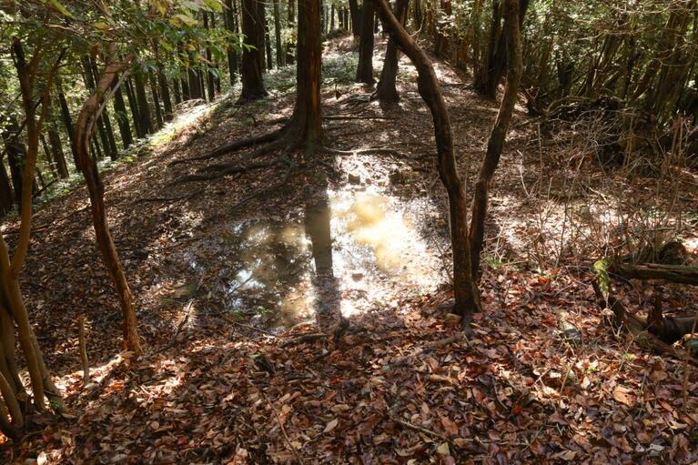 井戸跡……なのか？