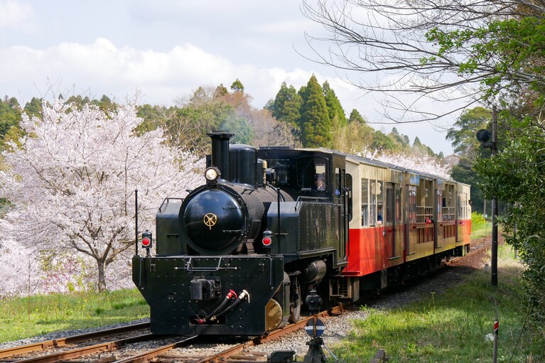 例年3月中旬〜12月頃までトロッコ列車も運行中！　スケジュールや料金など詳しくは、小湊鉄道公式サイトへ。