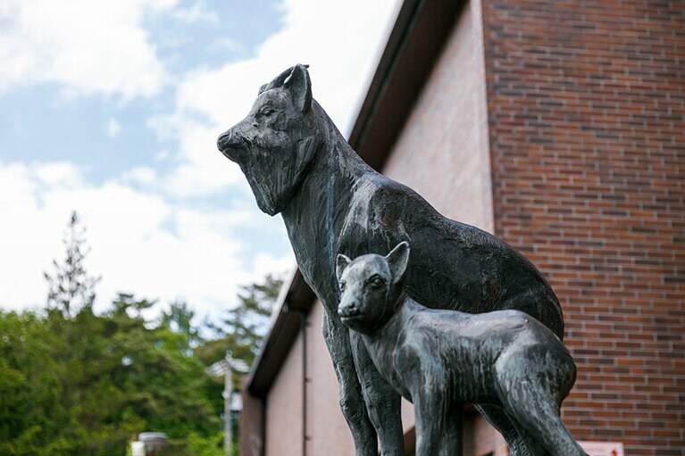 市立大町山岳博物館の入口には、ニホンカモシカ親子の像が。